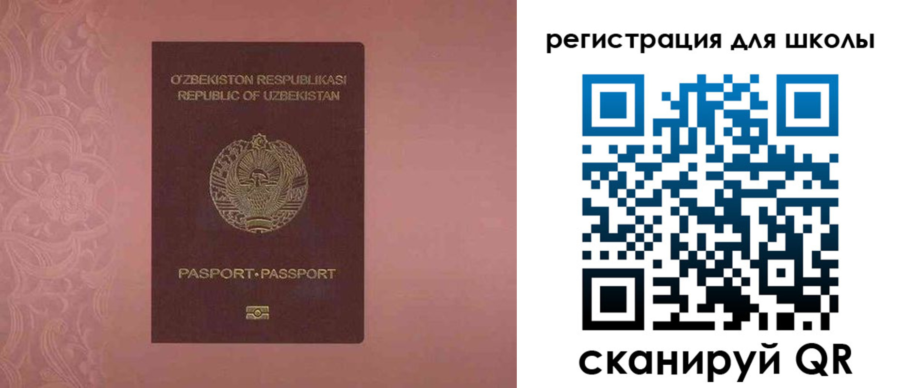 прописка для школы в Бородино